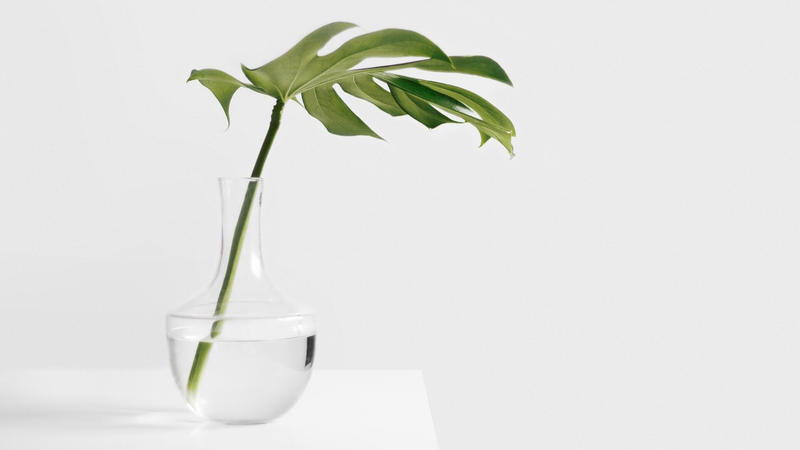 POURQUOI PRIVILÉGIER LES COSMÉTIQUES NATURELS?