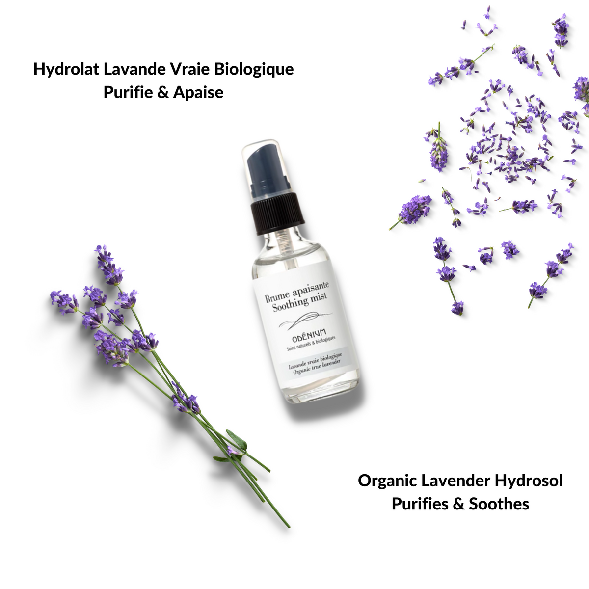 LAVENDER REGENERATING Mist for DRY SKIN